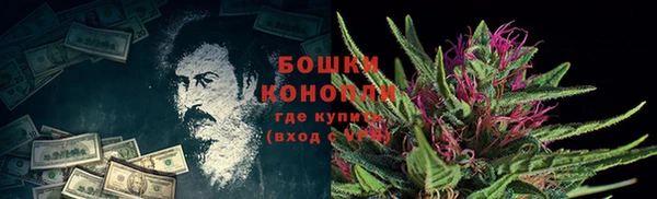 гашик Дмитров