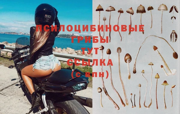 кокаин колумбия Гусев