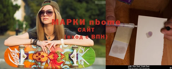 ГАЛЛЮЦИНОГЕННЫЕ ГРИБЫ Ельня