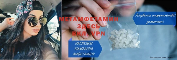ГАЛЛЮЦИНОГЕННЫЕ ГРИБЫ Ельня