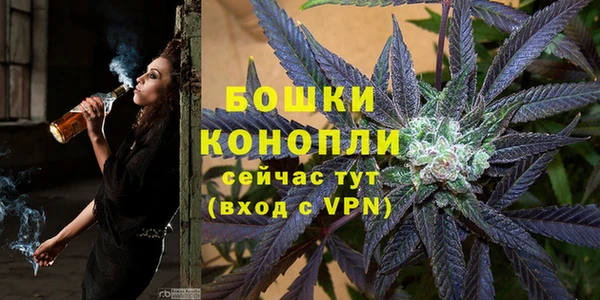 ГАЛЛЮЦИНОГЕННЫЕ ГРИБЫ Ельня