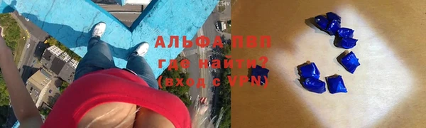 ГАЛЛЮЦИНОГЕННЫЕ ГРИБЫ Ельня