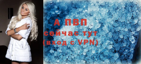 ALPHA PVP Елизово
