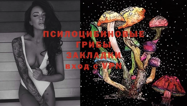ГАЛЛЮЦИНОГЕННЫЕ ГРИБЫ Ельня