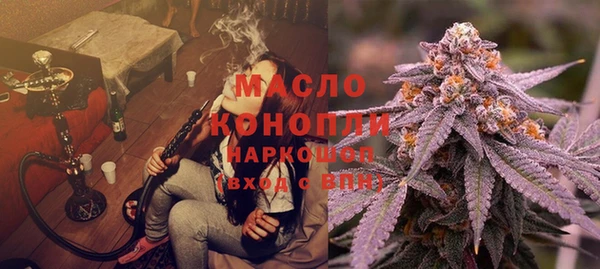 гашик Дмитров