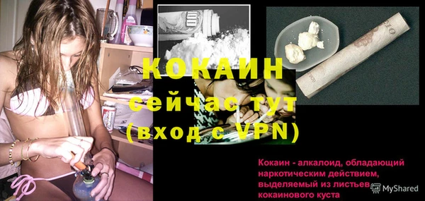 ALPHA PVP Елизово