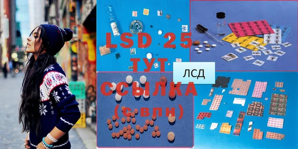 гашик Дмитров