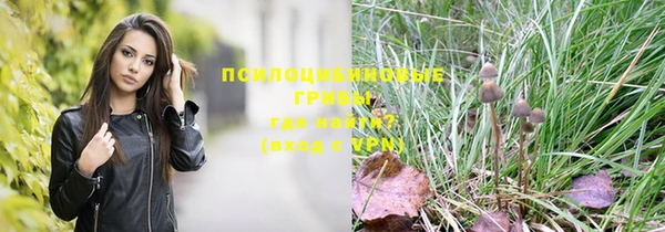 ГАЛЛЮЦИНОГЕННЫЕ ГРИБЫ Ельня