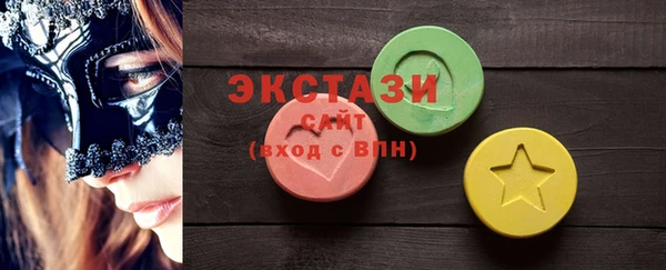 гашик Дмитров